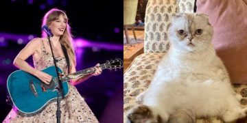 taylor-swift-and-cat-olivia-benson-pic