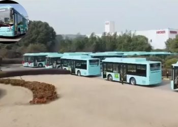 Image of Buses
