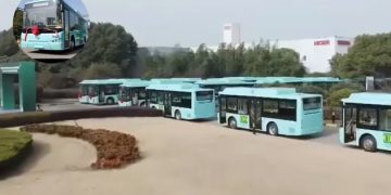 Image of Buses
