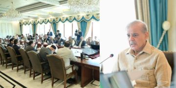Picture of federal cabinet shehbaz sharif