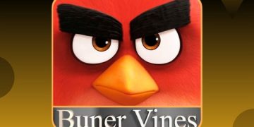 YouTube Channel Buner Vines