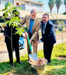 islamabad tree plantation Islamabad 51