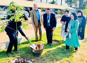 tree plantation nipa Islamabad 51