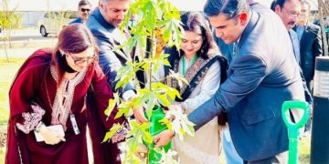 Islamabad Tree Plantation by NIPA