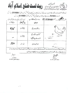 chicken price islamabad