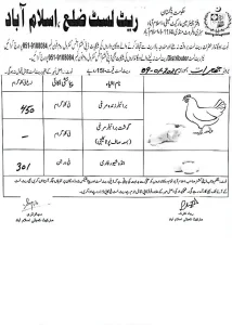 chicken, eggs rate