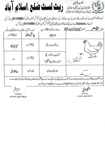 chicken rate today islamabad