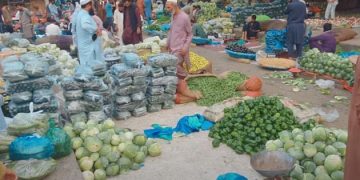 Islamabad Vegetable Market Image