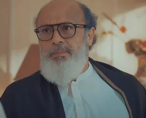 Noor-ul-Hassan Actor