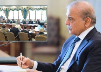 Prime Minister Shehbaz Sharif Meeting Picture