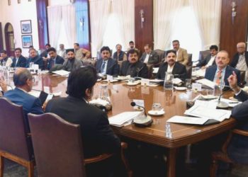 Sindh Cabinet Image