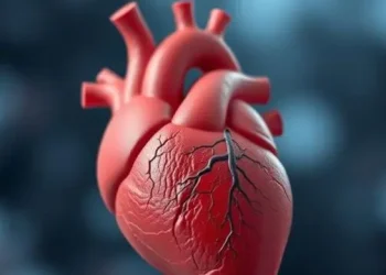 Picture of Heart