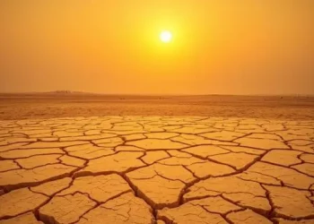 Heatwave