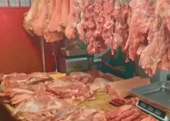 Meat Shop