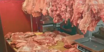 Meat Shop