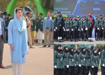 Environmental Force in Punjab