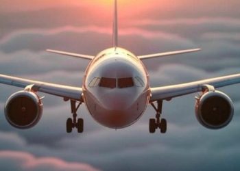 Airplane in air