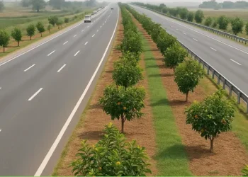 Motorways Fruit Trees Plantation
