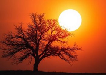 Pakistan Heatwave