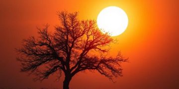 Pakistan Heatwave