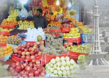 Sahulat on the go bazar Lahore