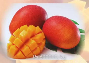 Karachi Malir Miyazaki mangoes