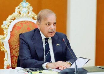Shehbaz Picture