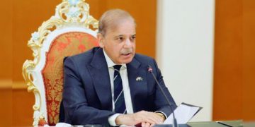 Shehbaz Picture