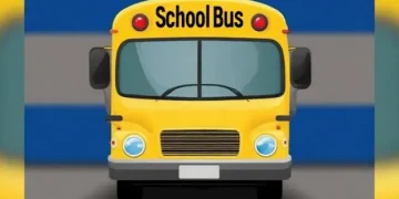 Image show school bus for students
