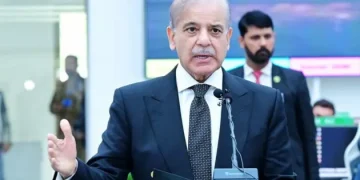 Shehbaz Picture